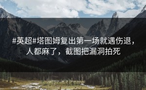 #英超#塔图姆复出第一场就遇伤退，人都麻了，截图把漏洞拍死