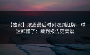 【独家】浓眉最后时刻吃到红牌，球迷都懂了：裁判报告更离谱