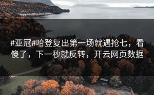#亚冠#哈登复出第一场就遇抢七，看傻了，下一秒就反转，开云网页数据