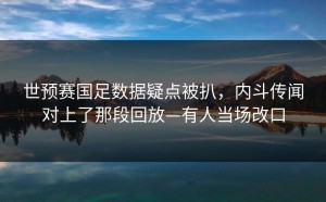 世预赛国足数据疑点被扒，内斗传闻对上了那段回放—有人当场改口
