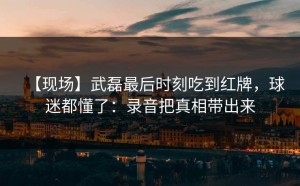 【现场】武磊最后时刻吃到红牌，球迷都懂了：录音把真相带出来