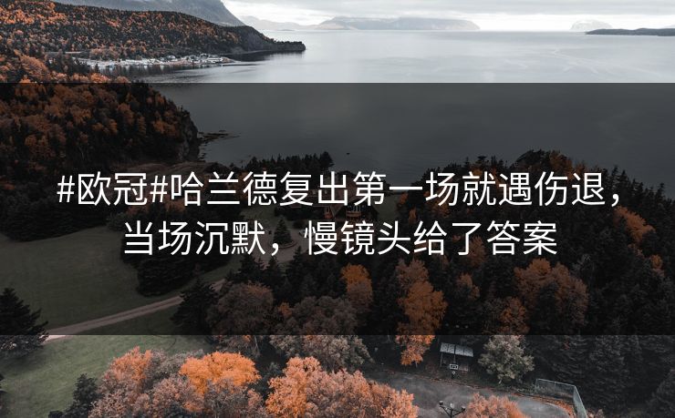 #欧冠#哈兰德复出第一场就遇伤退，当场沉默，慢镜头给了答案
